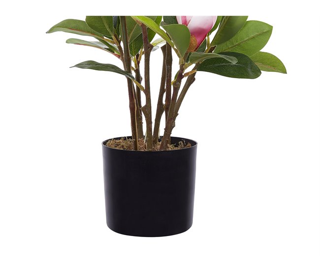 Beliani Planta artificial MAGNOLIA Verde