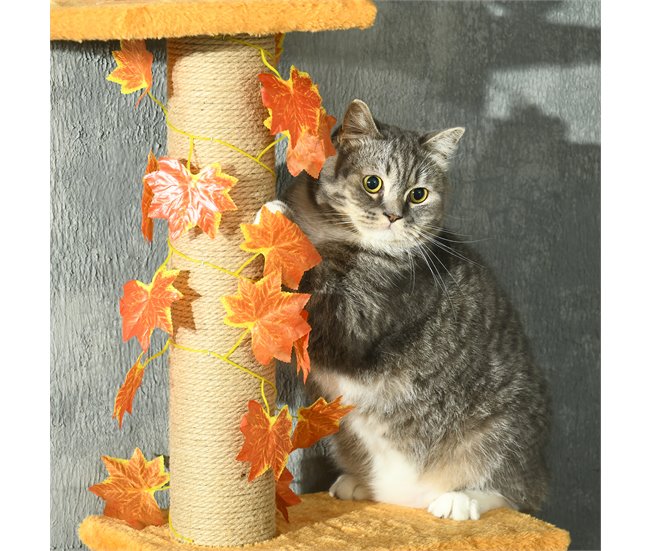 Árvore para Gatos Aglomerado de madeira Laranja