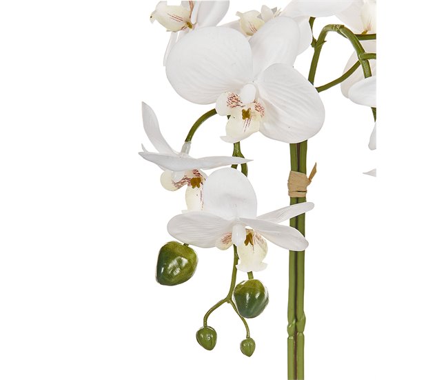 Beliani Planta artificial ORCHID GR1531651