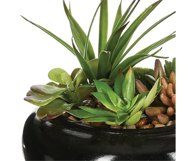 WELL HOME - Composição central com sortimento de plantas Verde