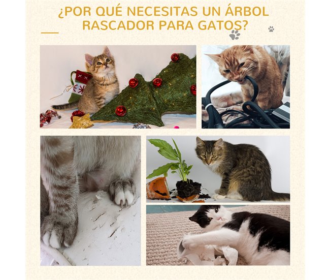 Árvore Arranhador para Gatos Multicor