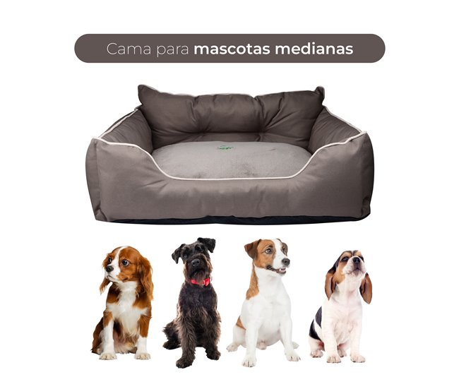 Cama para animais de estimação + comedouro duplo Castanho