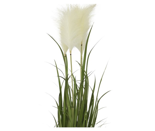 Planta artificial PAMPAS marca EVERLANDS FLOWERS AND PLANTS Verde