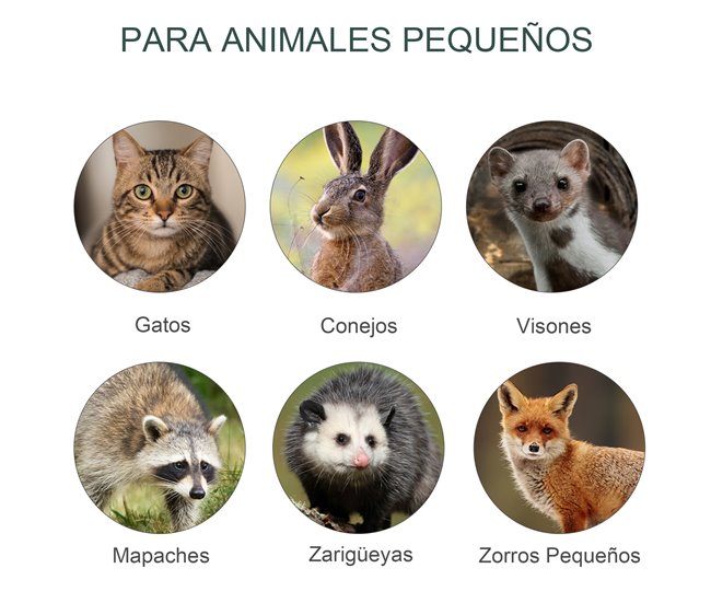 Armadilha viva Ferro PawHut Verde