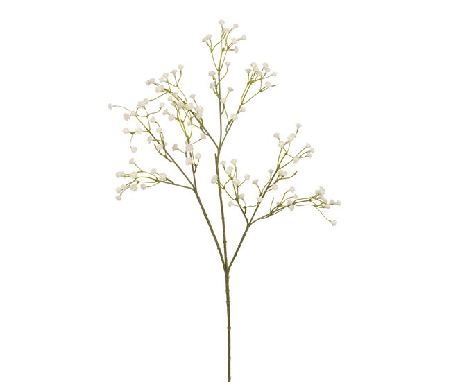 Planta floral GYPSOPHILA 60cm marca CONFORAMA Creme