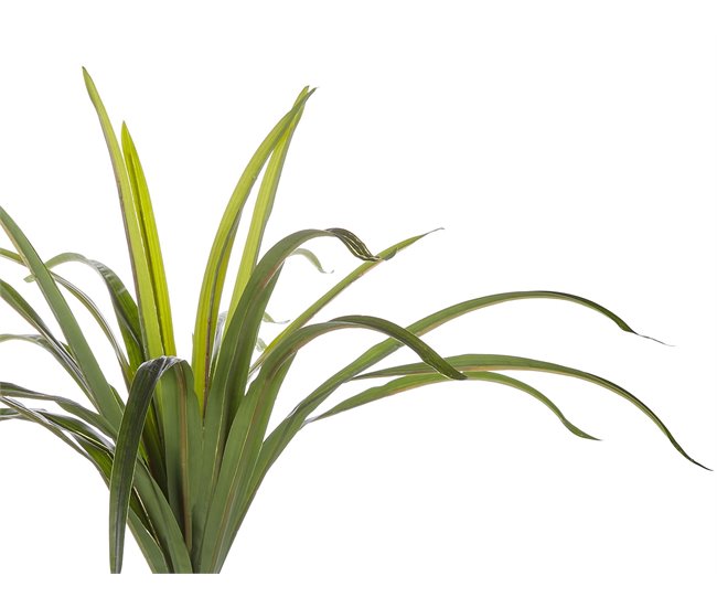 Beliani Planta artificial DRACAENA ANITA Verde