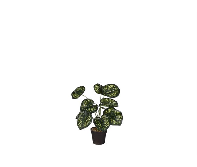 Planta artificial CALATHEA marca MYCA Verde