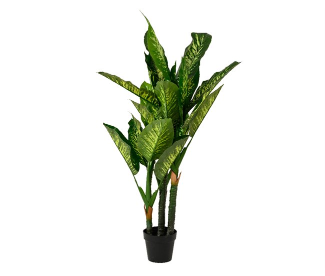 Planta artifical DIEFTENBAC marca EVERLANDS FLOWERS AND PLANTS Verde