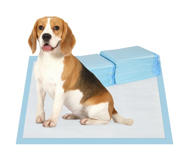 Resguado de Treino Tecido não Tecido, Papel e PE PawHut Azul