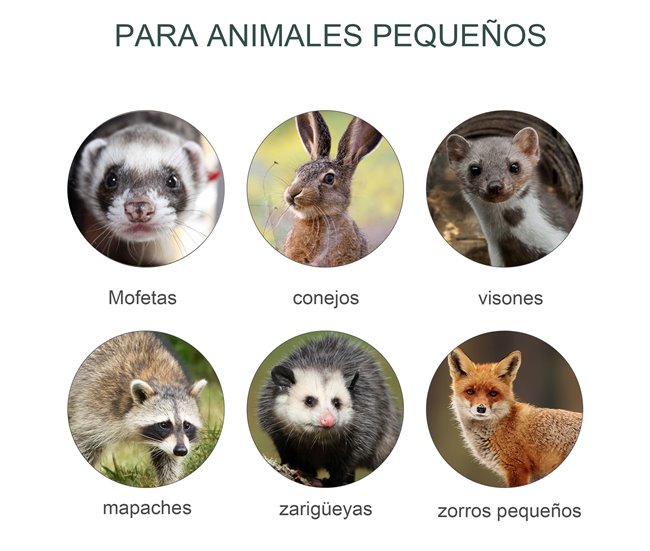 Armadilha para Animais Vivos Aço Outsunny Verde