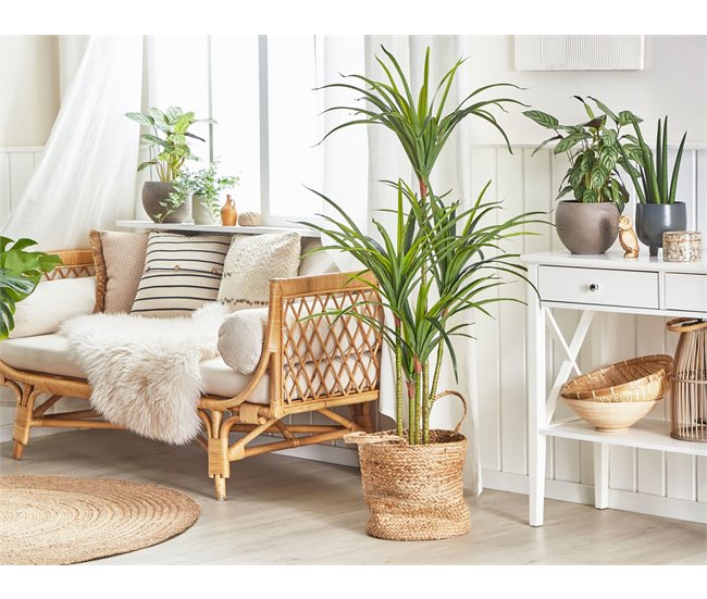 Beliani Planta artificial DRACAENA ANITA Verde