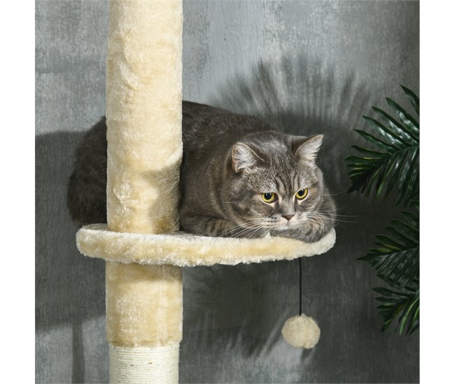 Arranhador para Gatos Cru
