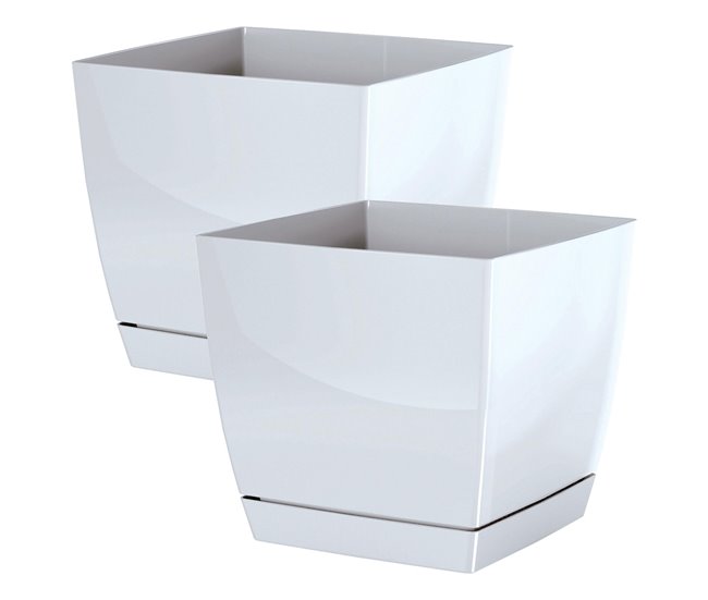 2x begonya panela redonda fresca com prato incluído Branco