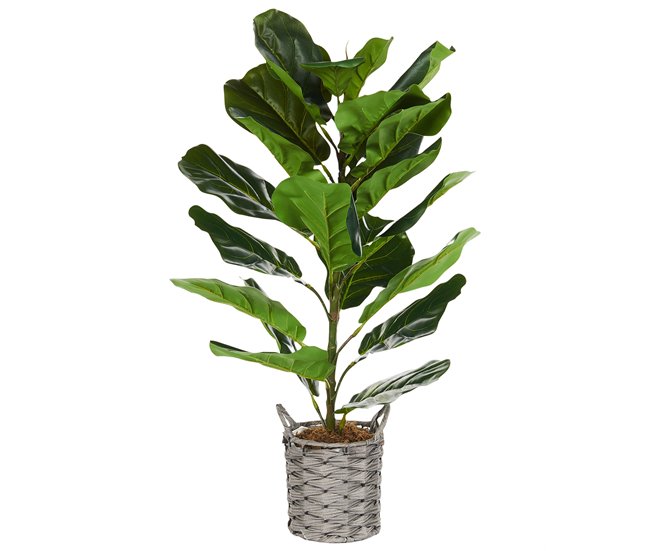 Beliani Planta artificial FIDDLE LEAF TREE Verde