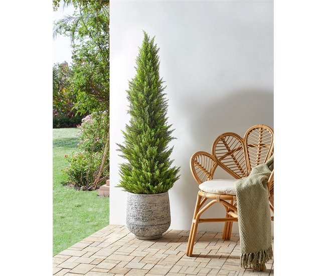 Beliani Planta artificial CEDAR TREE Verde