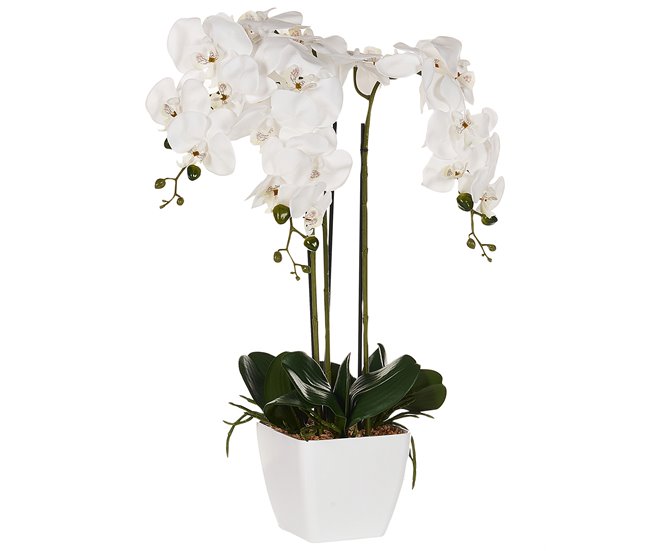 Beliani Planta artificial ONCIDIUM ORCHID GR1531651