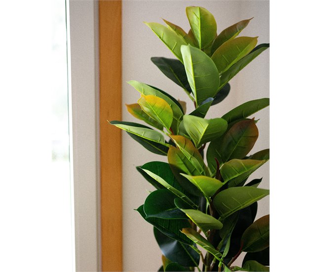 Beliani Planta artificial FICUS ELASTICA Verde
