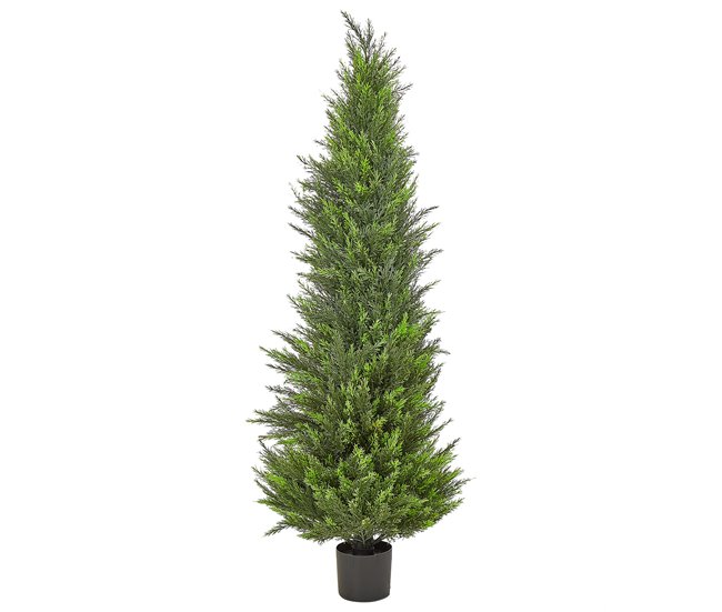 Beliani Planta artificial CEDAR TREE Verde