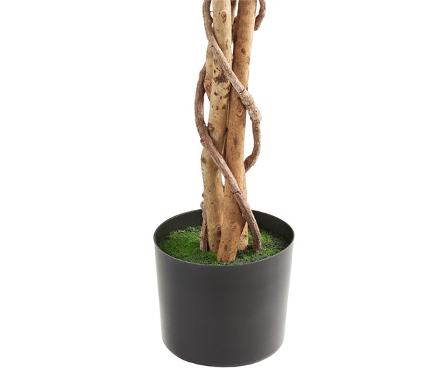 árvore de ficus artificial Verde