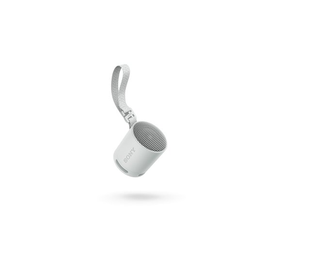 Altifalante Bluetooth Portátil SRS-XB100 Cinza