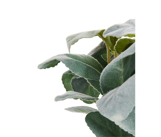 Beliani Planta artificial PEPEROMIA ARGYREIA Verde