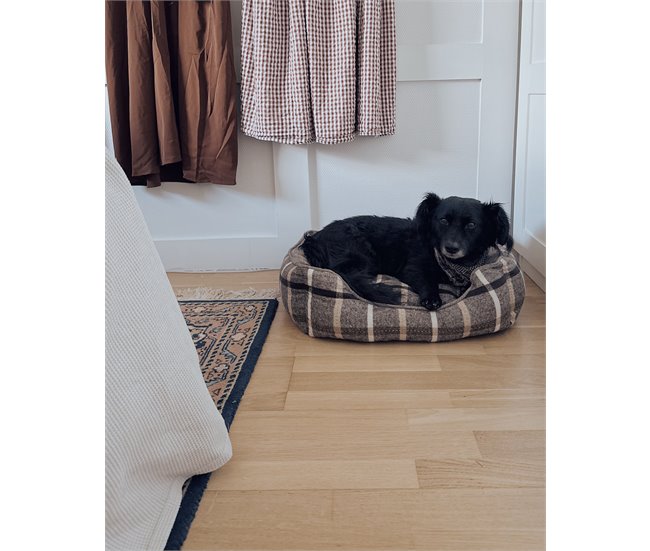 Beliani Cama para animais de estimação HOZAT Castanho