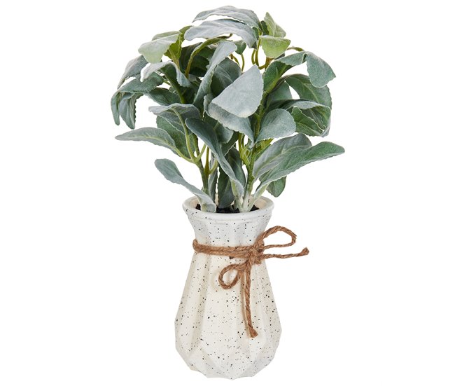 Beliani Planta artificial PEPEROMIA ARGYREIA Verde
