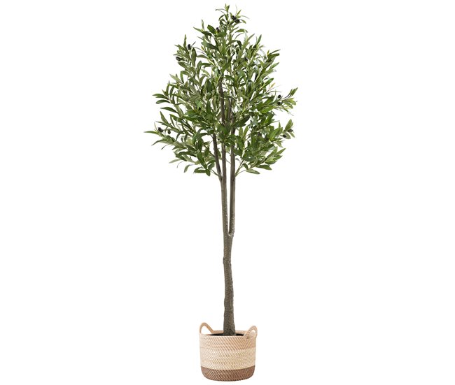 Oliveira artificial Verde