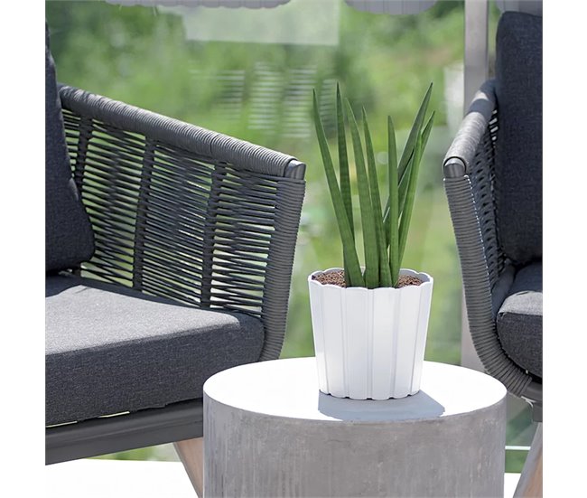Boardee Basic 1.4L Pote Branco