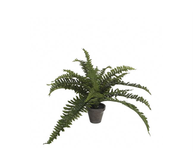 Planta artificial HELECHO da marca MYCA Verde