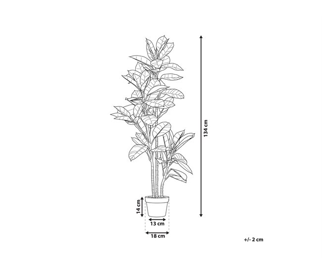 Beliani Planta artificial FICUS ELASTICA Verde