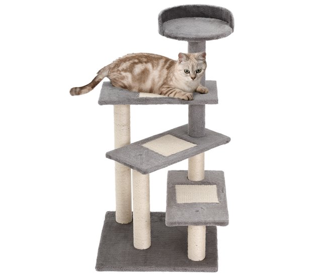 Arranhador para Gatos Multicor