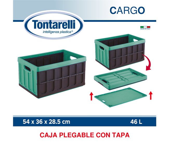 Caixa multi -sustentada Verde
