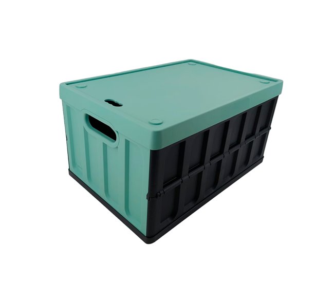 Caixa multi -sustentada Verde
