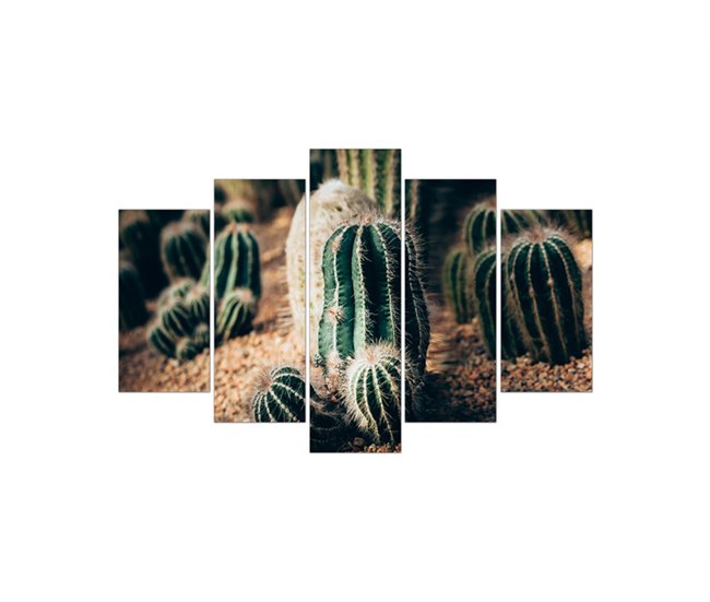 Canvas 5 piezas CACTUS marca CONFORAMA Multicor