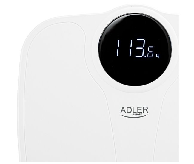 Briebe SC1124B Branco