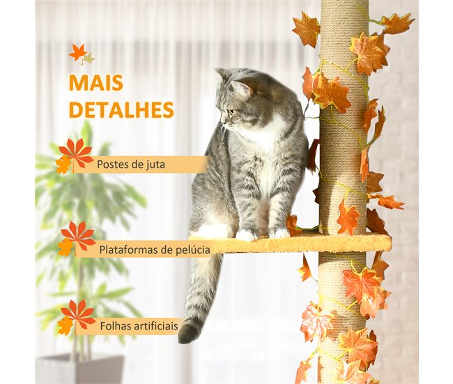 Árvore para Gatos Aglomerado de madeira Laranja