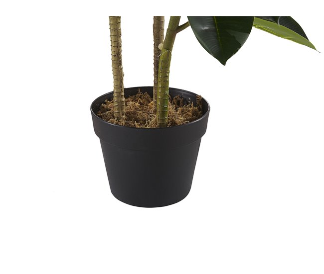 Beliani Planta artificial FICUS ELASTICA Verde