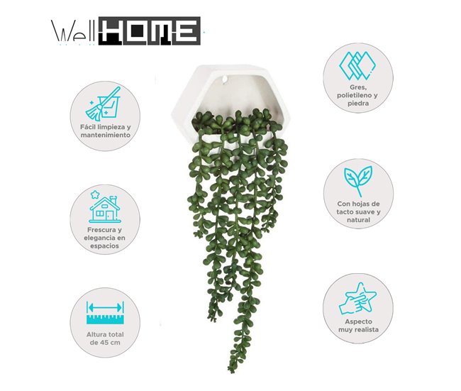 WELL HOME - Planta contemporânea para pendurar na parede Verde