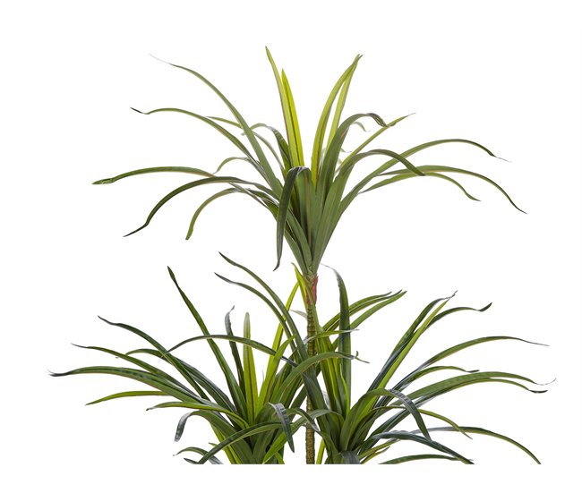 Beliani Planta artificial DRACAENA ANITA Verde