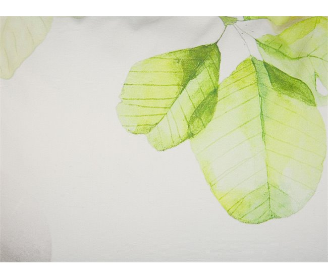 Beliani Almofada decorativa PEPEROMIA Branco