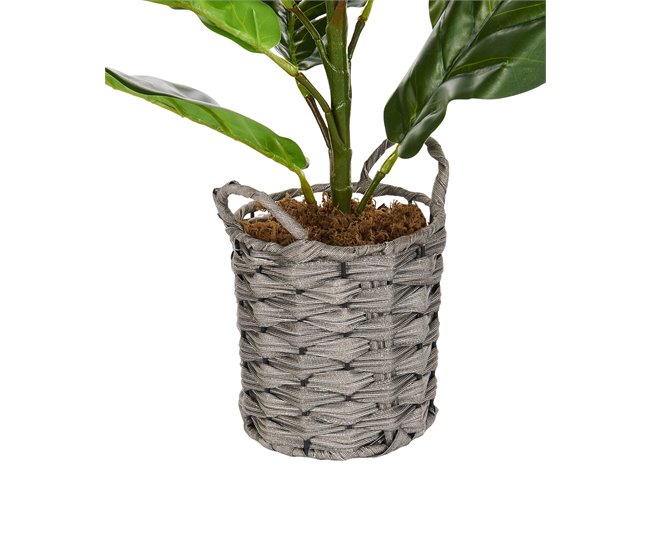 Beliani Planta artificial FIDDLE LEAF TREE Verde