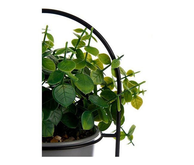Planta Decorativa Verde