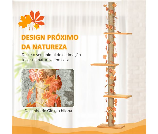 Árvore para Gatos Aglomerado de madeira Laranja