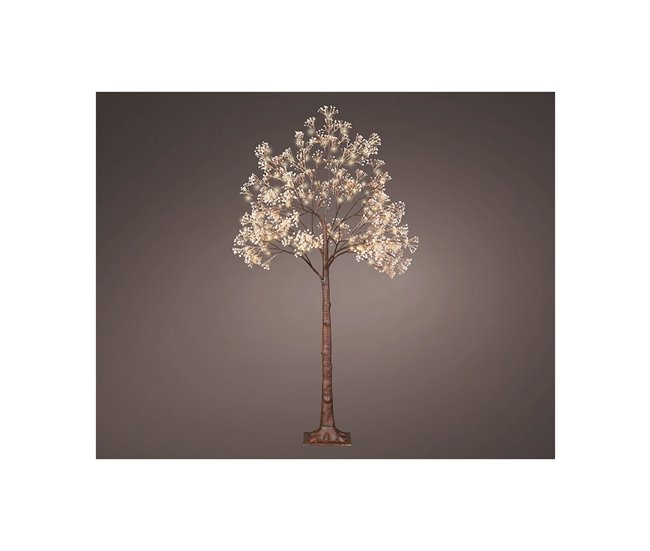 Árvore Gypsophila Multicor