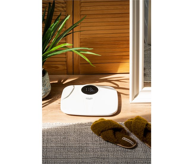 Briebe SC1124B Branco