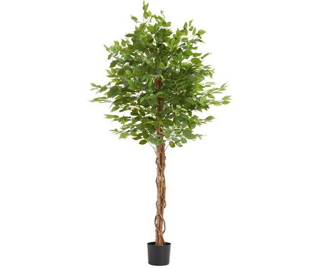 árvore de ficus artificial Verde