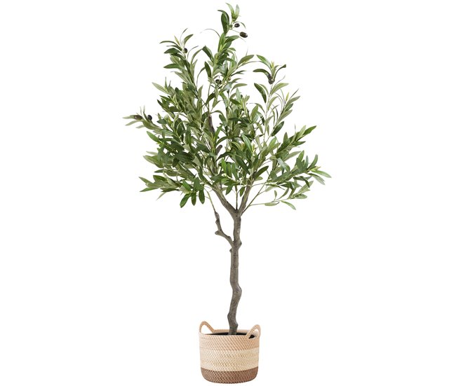 Oliveira artificial Verde
