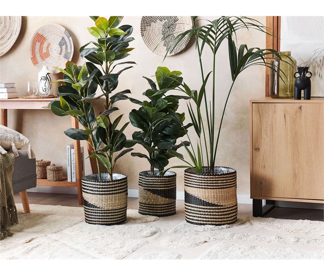 Beliani Conjunto de 3 vasos para plantas RATTAIL Bege