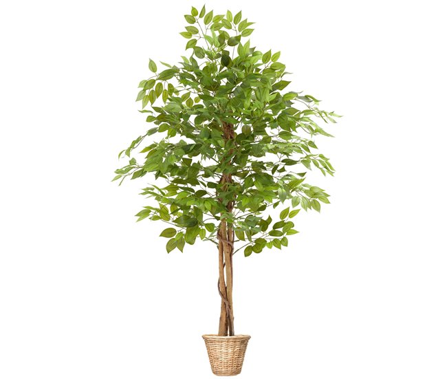 árvore de ficus artificial Verde